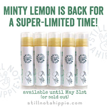 Load image into Gallery viewer, lip balm 5pk - minty lemon - LIMITED spring release